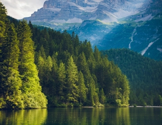 Tiêu đề liên hệ