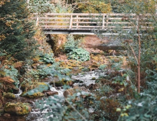 Tiêu đề hoạt động